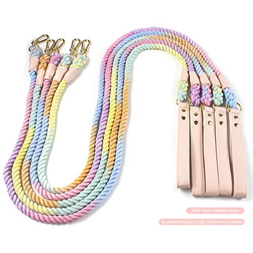 Petccino, 5 Ft Dog Leash & Collar Set, For Medium And Large Dogs, Colorful Braided Rope With Faux Leather Handle, Flexible And Durable Clasp (M Size Collar With 5 Feet Standard Leash) #TOP4