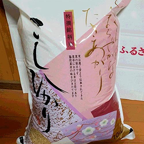 Amazon.co.jp: 令和7年度産 滋賀県 「近江米コシヒカリ 10kg」 農薬不