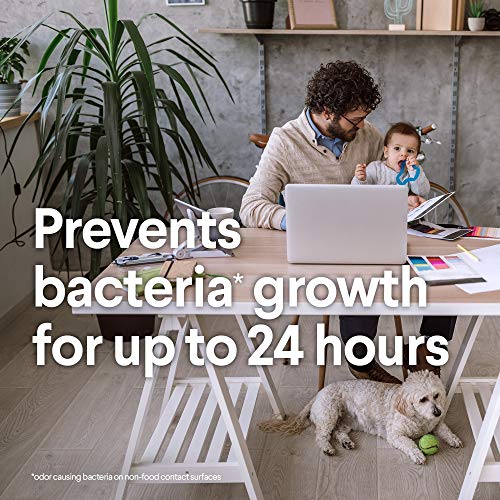 Fresh Step Clorox Disinfectant, 75 Count (Pack Of 3), White, 225 #TOP2