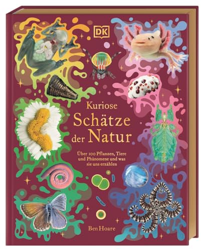 Kuriose Schätze der Natur: Über 100 Pflanzen, Tiere und Phänomene und was sie uns erzählen. Hochwertig ausgestattet mit Goldfolie und Goldschnitt. Für Kinder ab 8 Jahren