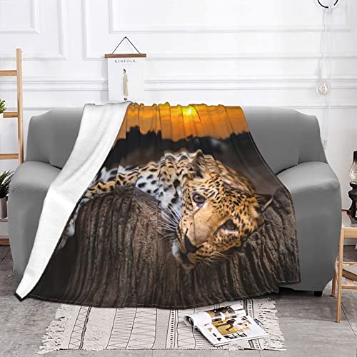 Couverture canapé léopard en flanelle pour vos soirées cocooning