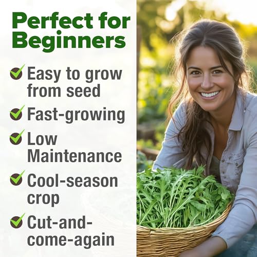 Image of HOME GROWN Arugula Roquette Seeds 4350+ Bulk Pack Heirloom Non-GMO, High Germination, Peppery Salad Greens, Indoor Outdoor Hydroponic Garden, Microgreens, Year-Round Harvest (Eruca vesicaria)