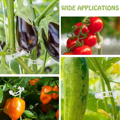 ZEACCT 200Pcs Garden Plant Support Clips, Durable Plastic Lattice for Stems Vines & Vegetables - Image 3