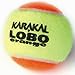 Produktbild Karakal Lobo orange 12 Tennisbälle entspricht Traffic Light Farbschema