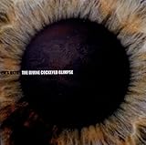 ews energie ag  The Divine Cockeyed Glimpse