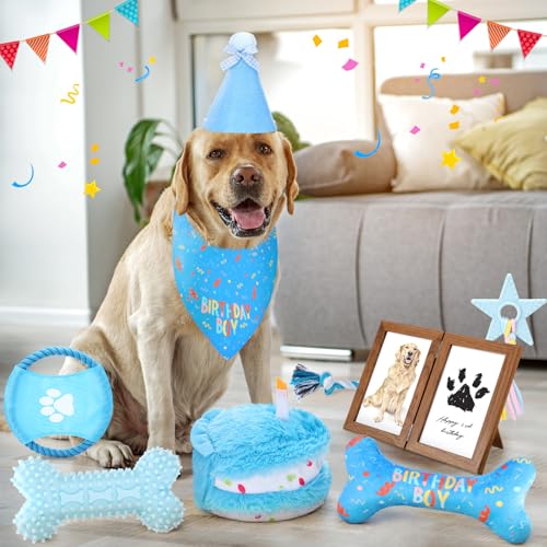 Set de juguetes para perro cumpleaños 14 piezas Gemscream miniatura 6