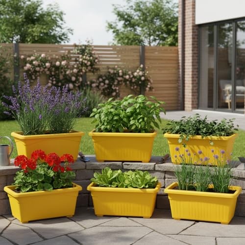 Image of Bianco Rectangular Plastic Pots for Plants, Jupiter Flower Pots for Home, Window Display, Garden (35 x 18.5 x 15 cm) (Yellow) (Pack of 12)