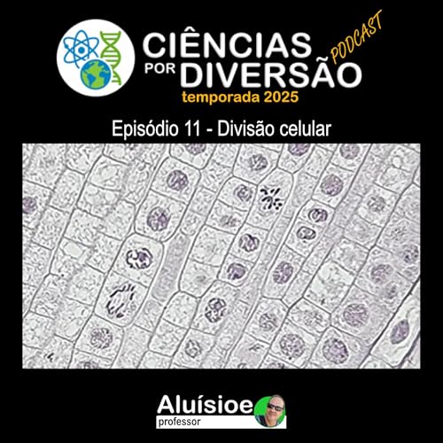 Divis&atilde;o celular