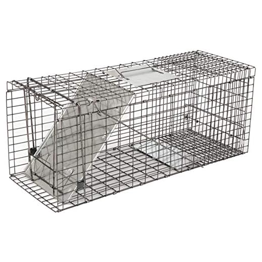 Live Animal Trap - Humane Catch & Release Cage for Raccoon, Opossum, Stray Feral Cat, Rabbit - No-Kill Bait Trapping Kit - 32" X 12" X 12"