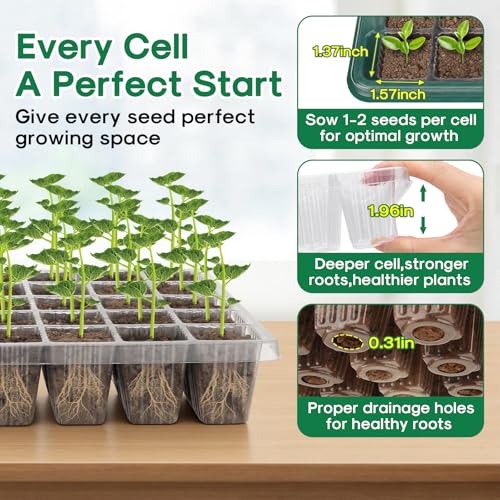 BlumWay Seed Starter Tray with Grow Light,4 Pack 160 Cells Seedling Tray with Humidity Dome/Indoor Grow Kit for Deep-Rooted Seedlings,Adjustable/Timed Light Plant Starter Set by BlumWay - Image 4