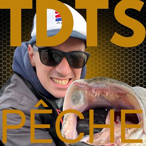 Tous des Tom Sawyer cover art