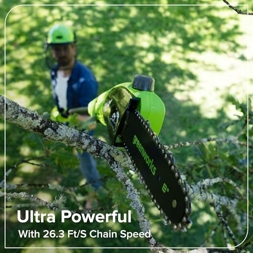 Image of Greenworks 24V 8 in Cordless Electric Pole Saw, Tool Only