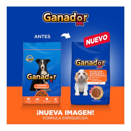 La Mejor Lista de Nucan cachorro - solo los mejores. 15 La Mejor Lista de Nucan cachorro - solo los mejores. 13