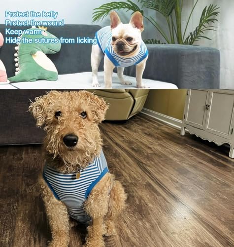 Image of Dog Blue Recovery Suit for X-Small Female Spay,Male Dog Surgery Suit,Narrow Blue-White XS