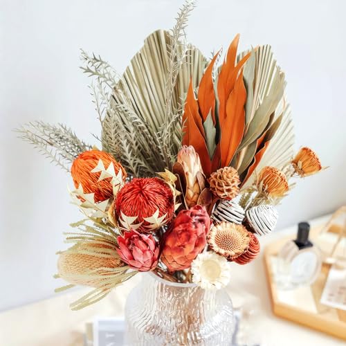 5 flores protea secas para decoración interior miniatura 3