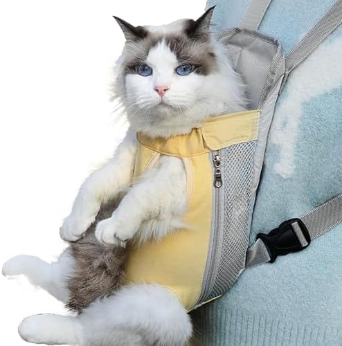 Stray Cat Cat Bag Backpack Stray Cats Travel Laptop Backpack
