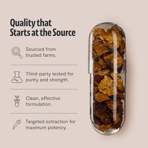 FreshCap Mushrooms Mushroom Capsules Chaga Supplement