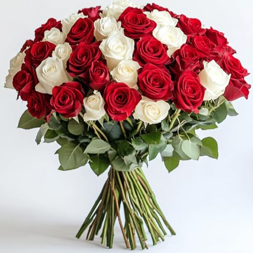 GlobalRose 50 Fresh Cut Red & White Roses - 25