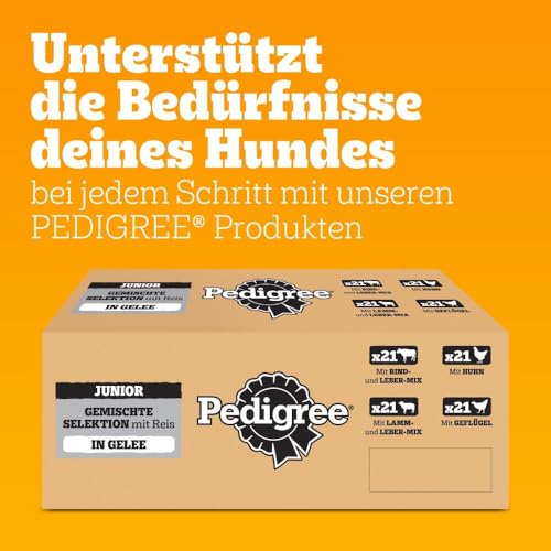 Pedigree DOGCARE Hundefutter Portionsbeutel Chunks in Gelee Junior 84 x 100g