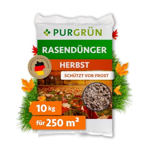 Purgrün® Herbstrasendünger 10 kg für 250 m² – Extra Kalium schützt vor...