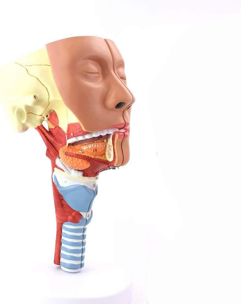 絶版 希少 赤松光夫 全て初版 帯付有り まとめ売り14冊 官能小説 Yahoo