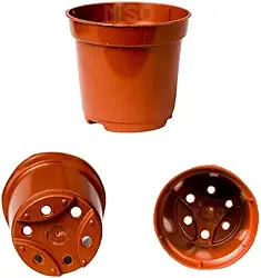 30 Mini Vasinhos Coloridos Pote 6 De 80ml Castos E Suculentas mudas lembrancinha (MARROM)