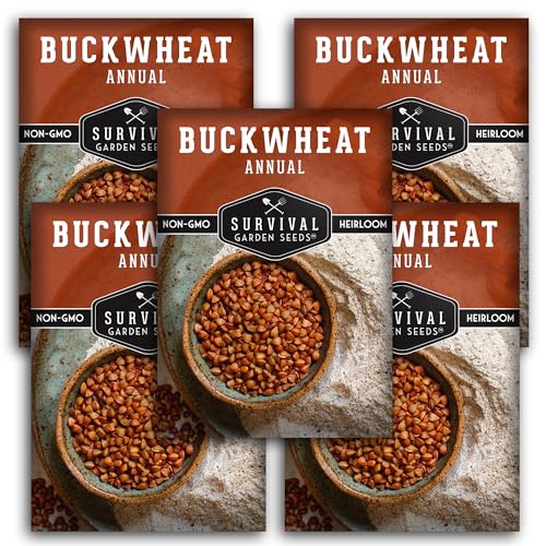 Buckwheat Seeds for Planting, 5 Packs