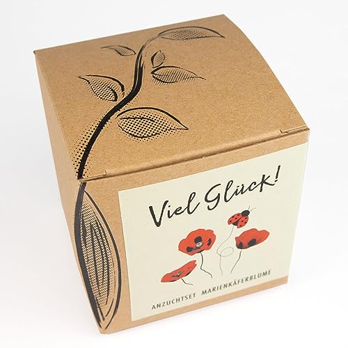 Geschenk-Anzuchtset MARIENKÄFERBLUME mit Samen des Marienkäfermohns, eine Glücksbringer-Geschenkidee aus dem NATURKRAFTWERK