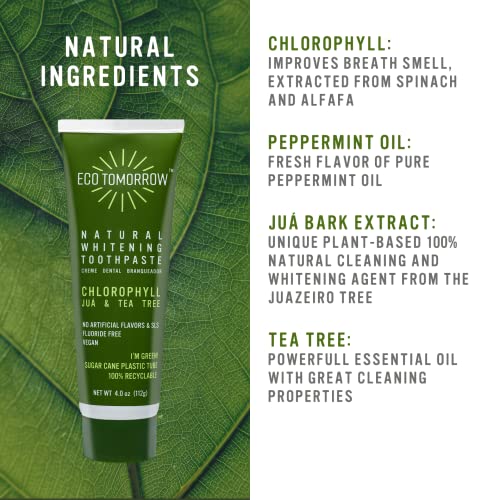 Ecotomorrow Tea Tree Chlorophyll Whitening Toothpaste With Peppermint Essential Oil And Natural Juá - Fluoride Free, Plant Based, Vegan - 4.0Oz (Pack Of 3) #TOP4