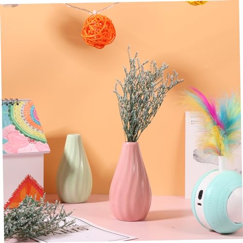 Ramo de flores secas Gypsophila para decoración miniatura 3