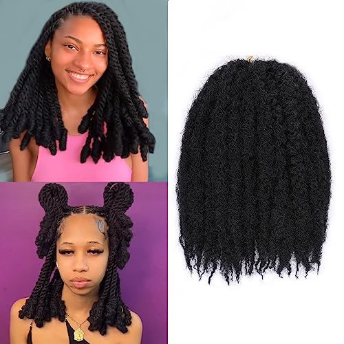 ZRQ 10 Inch Marley Braiding Hair For Faux Locs, Synthetic Curly Marley Twist Crochet Hair,Afro Twist Marley Hair Hair Extensions (1B#,8 Packs)