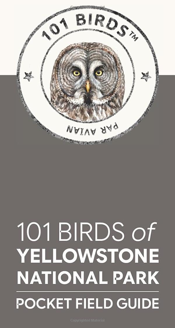 101 Birds of Yellowstone National Park: Pocket Field Guide (101 Birds Pocket Field Guides)