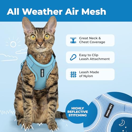 Image of Voyager Escape-Proof Step-in Lock Cat Harness & 5ft Neoprene-Handle Leash Set All-Weather Mesh with Reflective Stitching for Small to Large Cats by Best Pet Supplies, Baby Blue (327), M