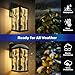 DERUINVAIO Outdoor Wall Light Fixtures African Set African Masks African Animals Exterior Waterproof Wall Sconce Lantern with Acrylic Shades Anti-Rust Lamp for Patio Doorway Garage