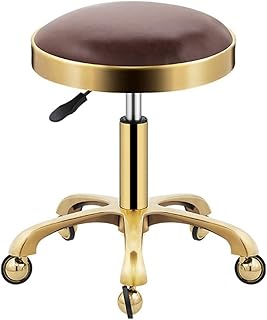 FLEAGE Stools,Swivel Stool Rolling Stool Beauty Stool, Comfortable Rolling Stool on Wheels, Heavy Duty Hydraulic Metal Stool with Rod for Salon, Massage, Clinic, Bar, Office/J