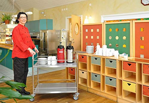 DS - Carrello portavivande, in Acciaio Inox, con 4 Ruote, 2 Freni, Portata 100 kg, 91 x 59 x 94 cm, qualità Industriale