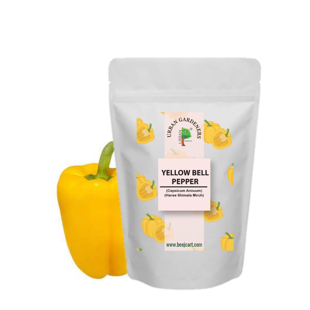 Yellow Bell Pepper SEEDS 100 Seeds Organic Seeds Non-GMO Quick Growth (B0CKBML17G) Amazon Price History, Amazon Price Tracker