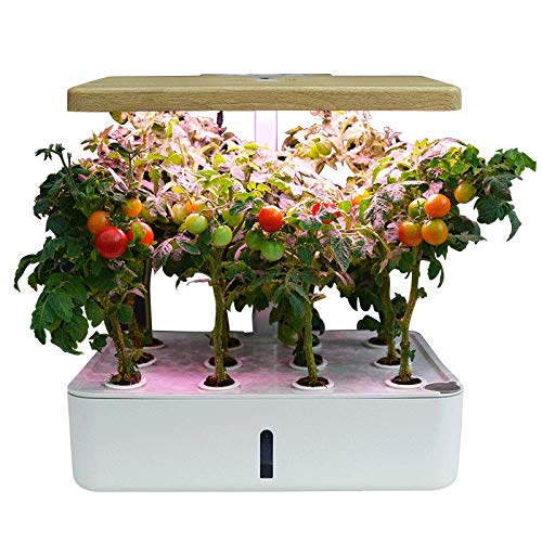 Smart Self Watering Garden with Led Lamp, Indoor Planter, Herb Garden, Flowers, Growing