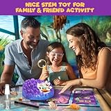 PIBEX Ocean Fossil Dig Kit, Dig up 20+ Real Shells & Seasnails, STEM Educational Activity Set Sea Creatures Excavation Toy for Kids, Marine Biology Geology Science Kit, Gift for Boys and Girls Age 6+ - Image 4