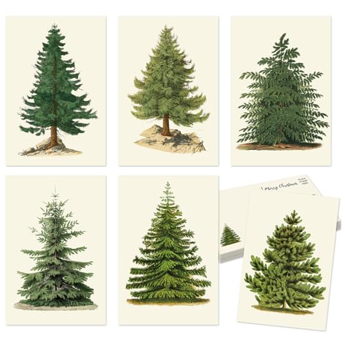Cartes postales de Noël vintage lot de 36 de 10,2x15,2 cm pour correspondance