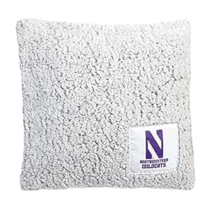 Campus Colors Two Tone Sherpa Throw Pillow, 14″ x 14″ Officially Licensed Plush Pillow for Home, College Dorm Room, or Gameday, Frosty Fleece Throw Pillow (Northwestern Wildcats – Multicolor)