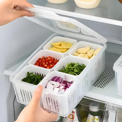 Satpurush Fridge Storage Boxes, Fridge Organiser, Container for Kitchen Storage Set, Plastic containers for Kitchen Storage, Durable containers for Storage for Efficient Organisation (Pack of 1)