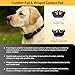Educator CPAD-011 Dog Training Collar Receiver Contact Pad, Improves Contact, Reduces Irritation and Skin Sensitivities, Winged Ultra Comfort Brass For Dogs with Long Thick Hair, Double Coat