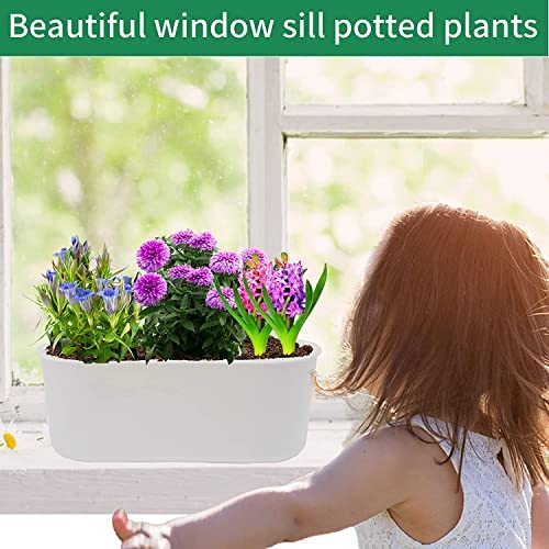 Plant Window Box With Saucers 10 Sets Plastic Planters With Multiple Drainage Holes And Trays Flower Pots For Home Garden Succulents Modern Decorative Window Planter Box Gardening Pot Plant Container #TOP5
