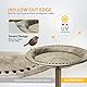 VIVOHOME Vogeltränke 71 cm Hoch Polyresin Leicht Antikes Design für den Außenbereich Kupfer
