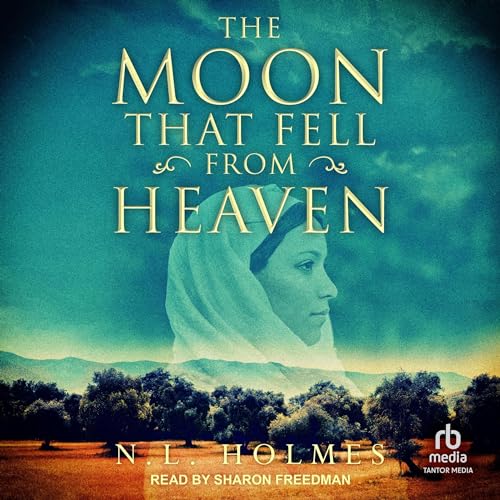 The Moon That Fell from Heaven -- N.L. Holmes episode artwork