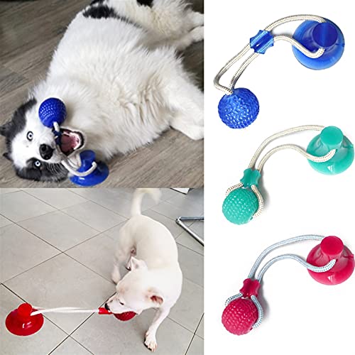 Jouets pour chien interactif molaire pour occuper le chiot