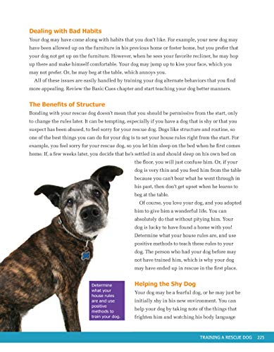Ultimate Guide To Dog Training: Puppy Training To Advanced Techniques Plus 25 Problem Behaviors Solved! (Companionhouse Books) Manners, House-Training, Tricks, And More, With Positive Reinforcement #TOP4