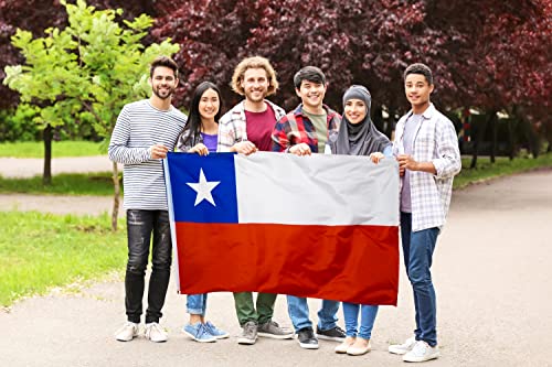 Danf Chile Flag 3X5 Ft Thick Polyester, Fade Resistant, Brass Grommets, Canvas Header Double Sided Chilean Flags 3 X 5 Feet #TOP3