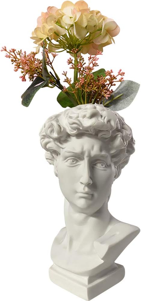 Indoor Outdoor Heads Planter Resin Succulent Planter Vase Greek Statue Planter David Sculpture Figure Home Garden Decor White 6.1 inches